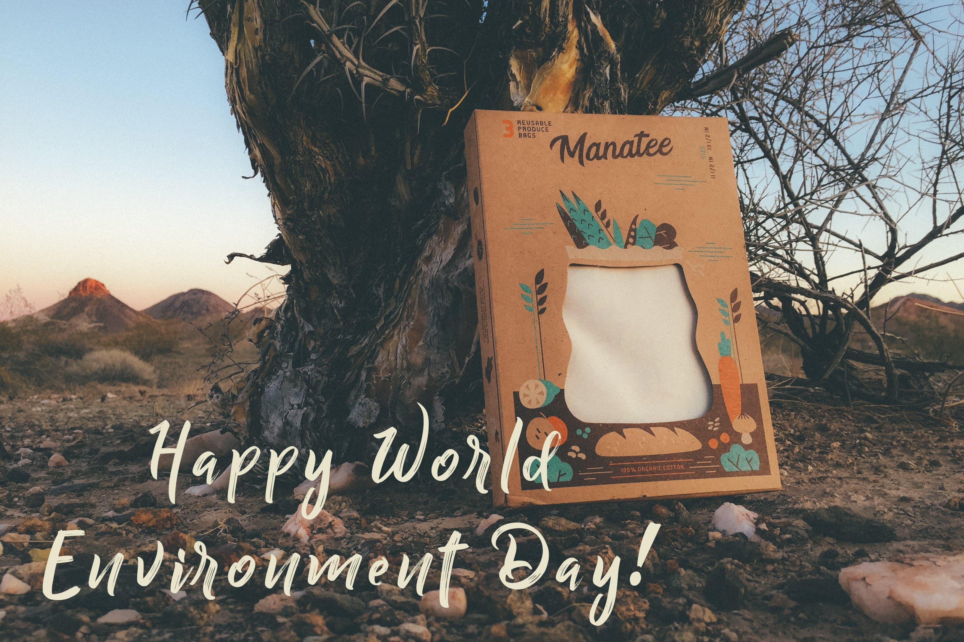 Happy World Environment Day!